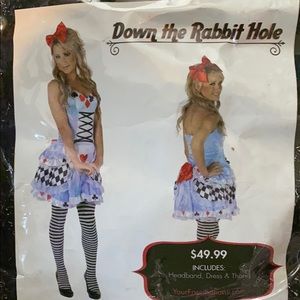 Alice in Wonderland Costume